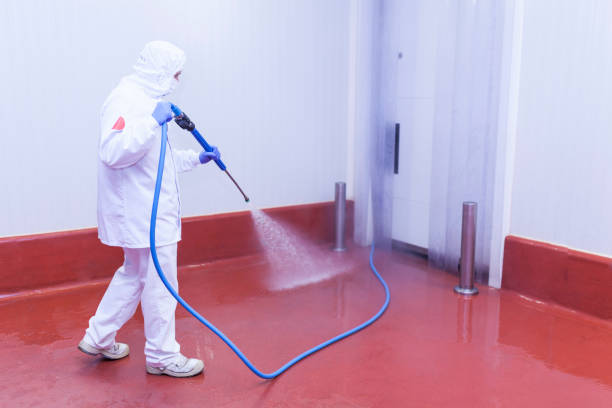 Best Pre-Holiday Cleaning  in Weslaco, TX