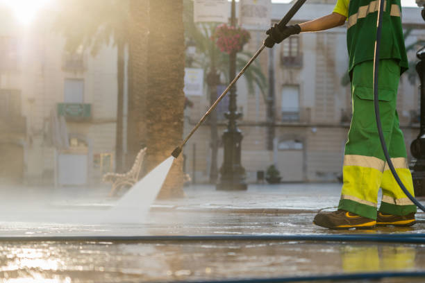 Best Animal Enclosure Cleaning  in Weslaco, TX